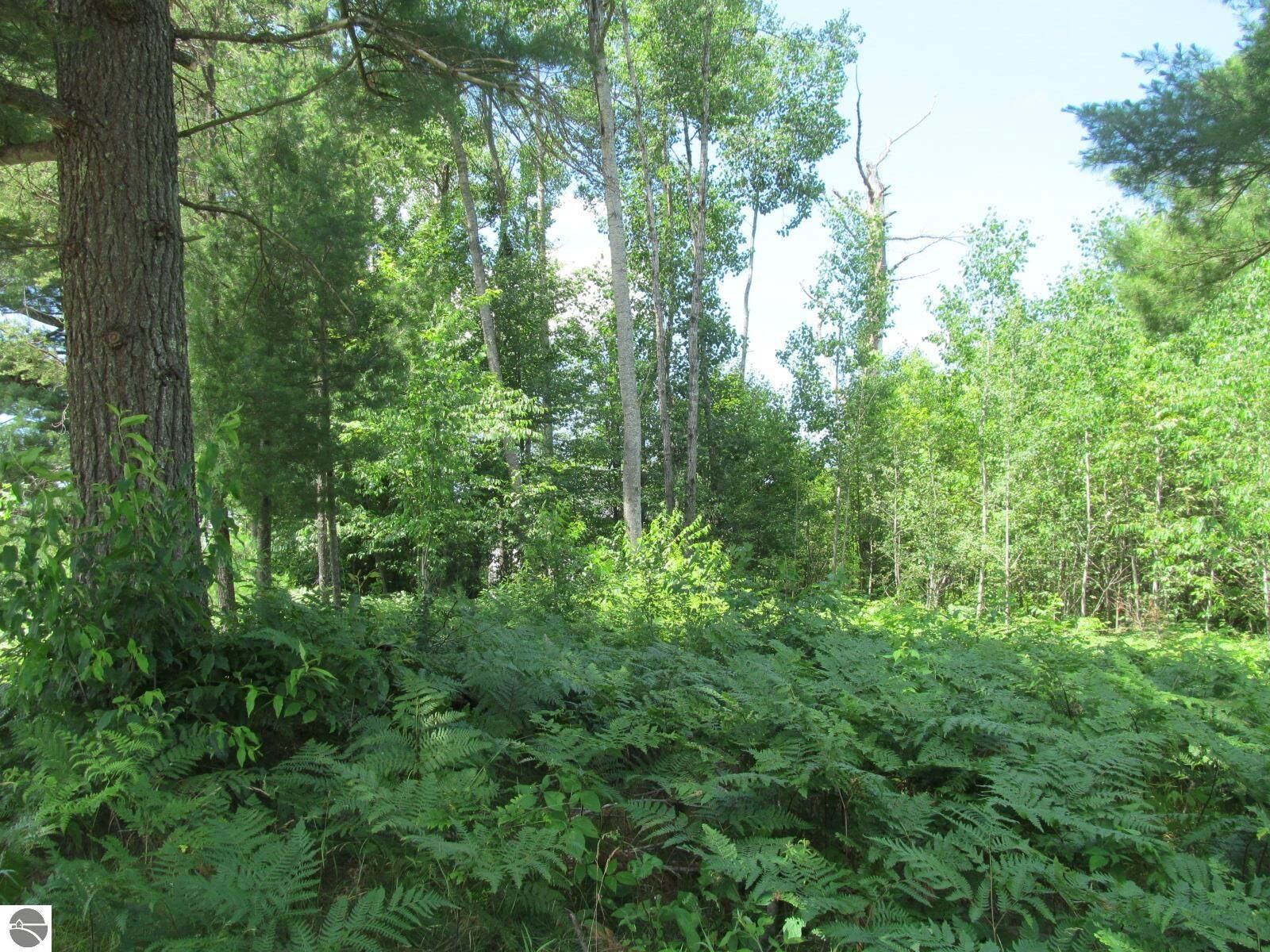 Property Photo: Lot 63 White Pine Drive MI 49601