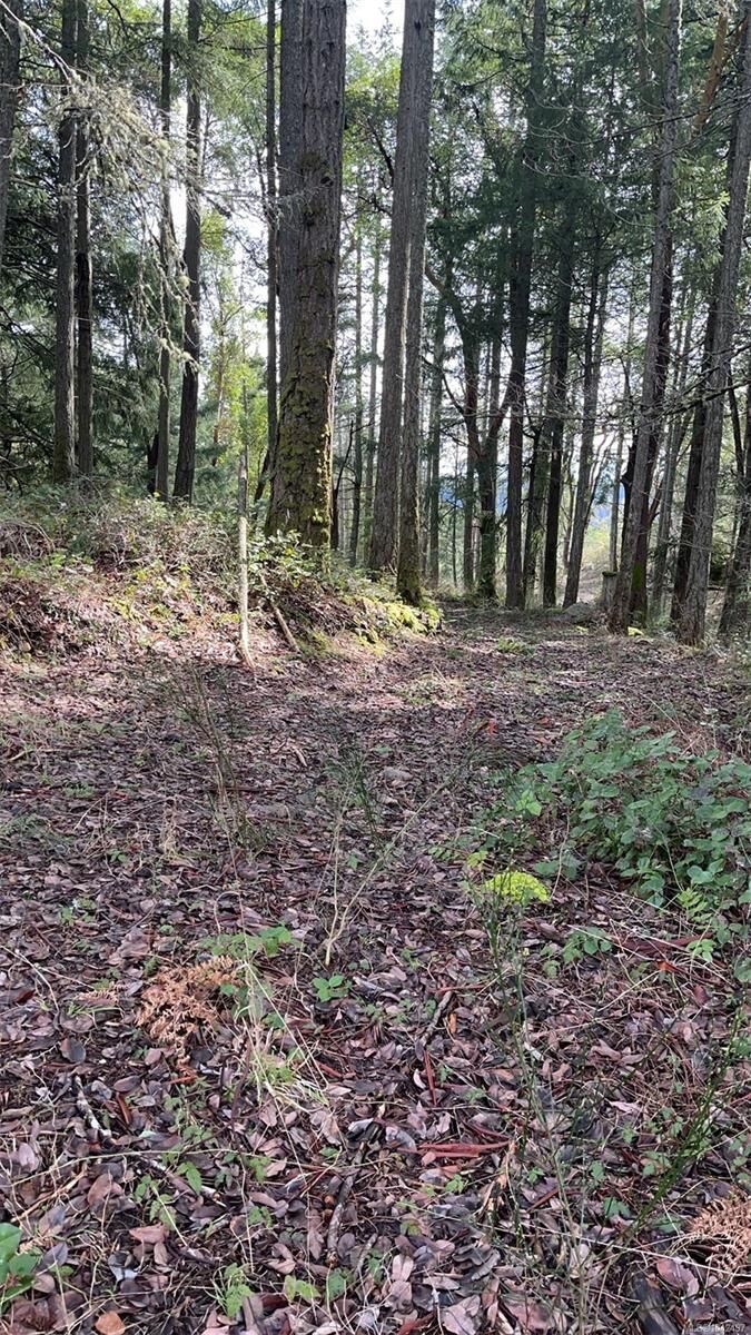 Property Photo: Lot A Ebadora Lane BC V0R 2L0