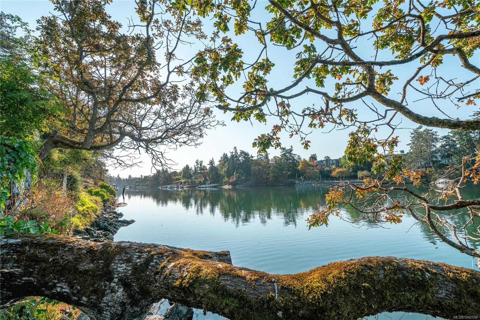 Property Photo: 69 Gorge Rd W #101 BC V9A 1L9