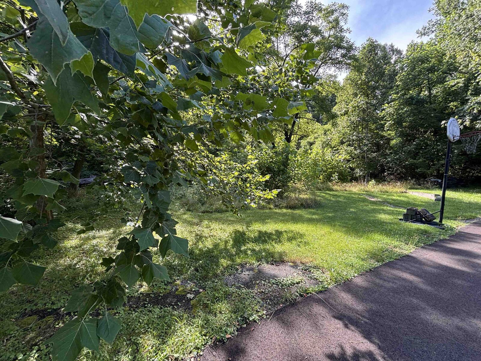 Property Photo: 0 Wallace Street KY 41101