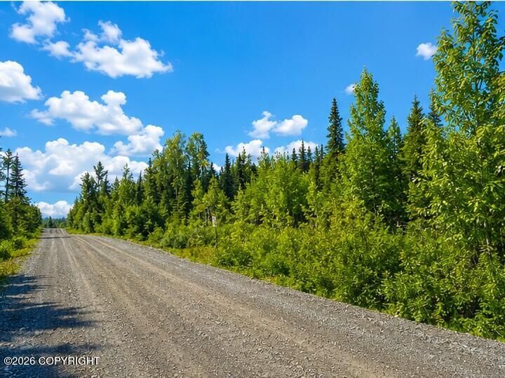 Property Photo: L4 Lake Road AK 99669