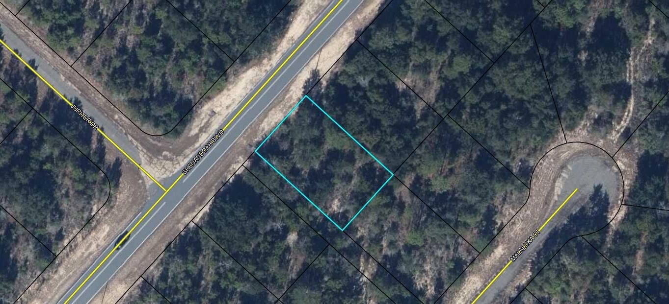 Property Photo:  Lot 52 Shenandoah Boulevard  FL 32428 