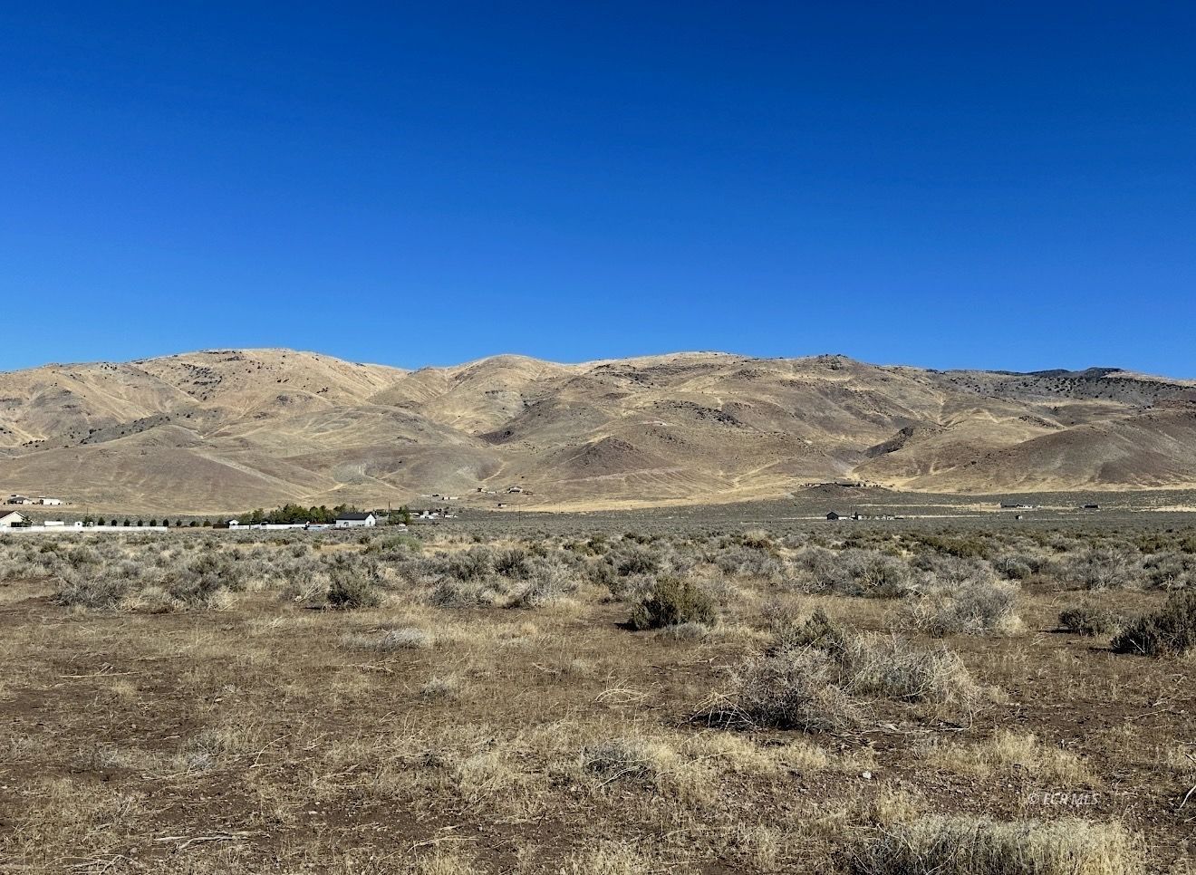 Property Photo:  425 Allium Street  NV 89510 