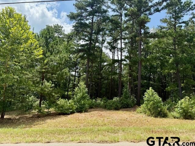 Property Photo:  16203 County Road 436  TX 75771 