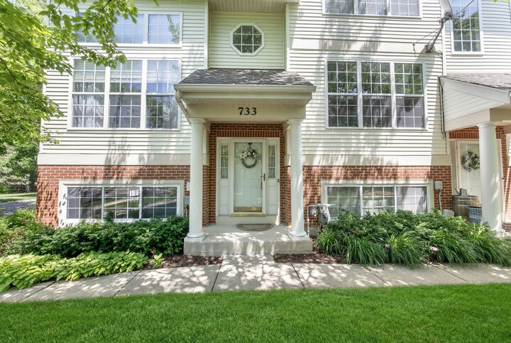 Property Photo:  733 Pheasant Trail  IL 60174 