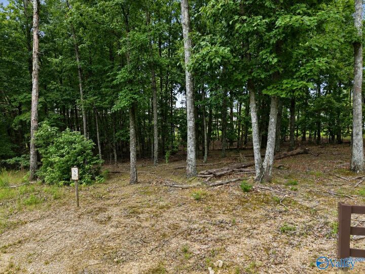 Property Photo: 13347 South Village Square Road SE AL 35803