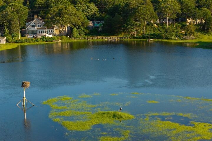 Property Photo: 429 Highbank Rd MA 02664
