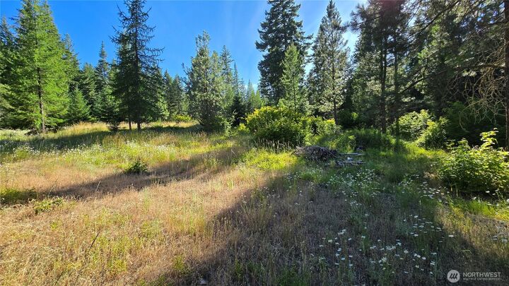 Property Photo: 3 -Lots Westside Rd WA 98922