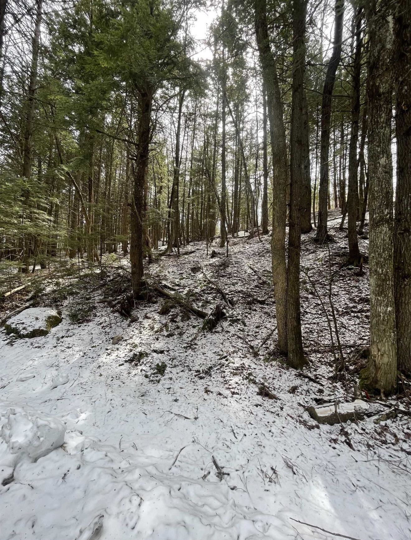 Property Photo: 000 Hinkley Brook Road VT 05146