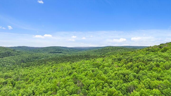 Property Photo: 0 La Rue Road NY 14883