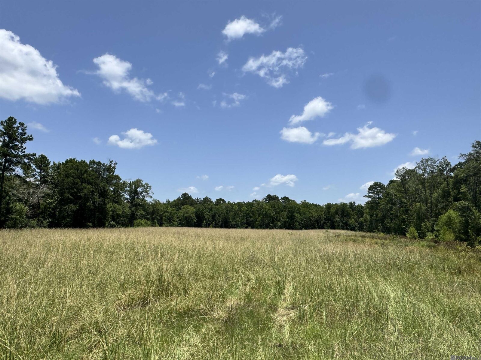 Property Photo:  27554 S Frost Rd  LA 70754 
