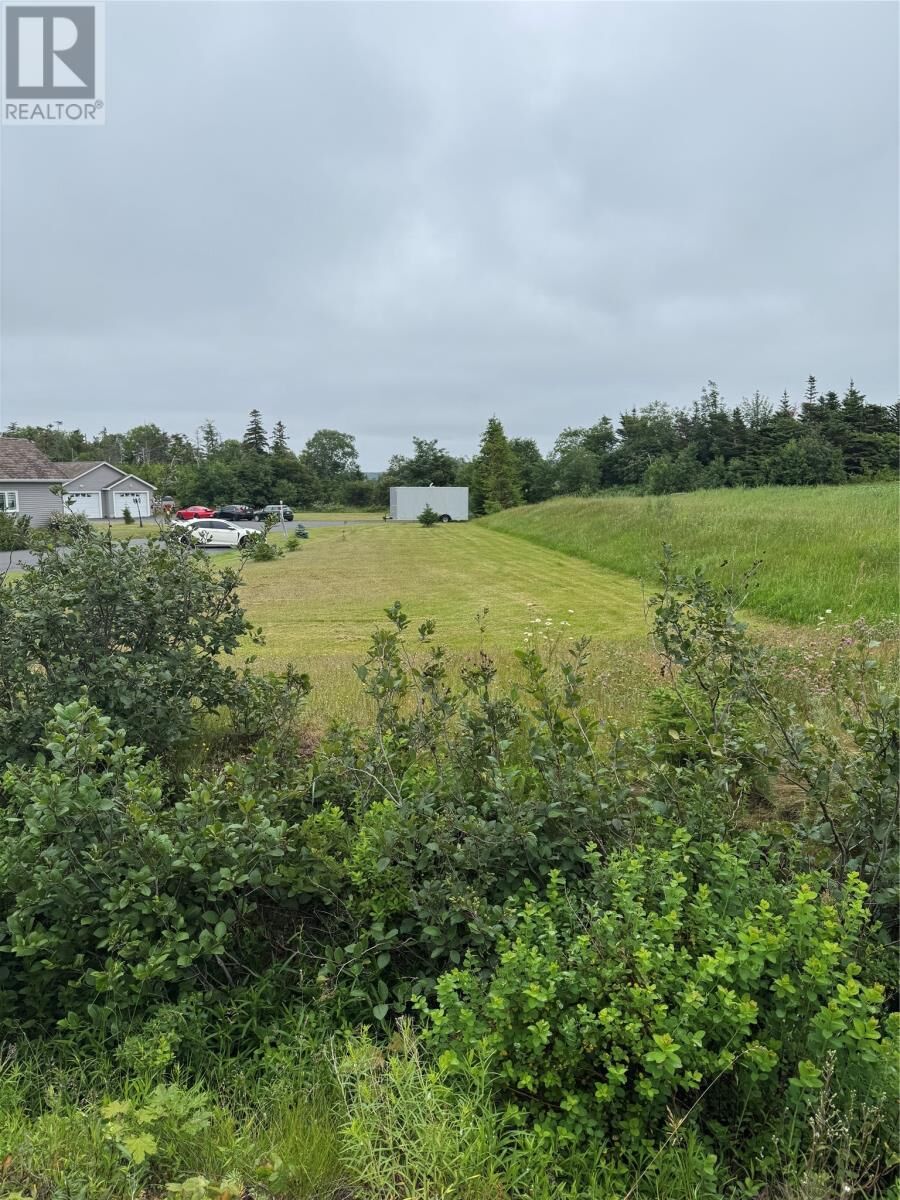 Property Photo:  17 Middle Ridge  NL A1X 6B4 