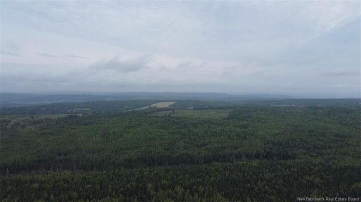 Property Photo:  Off Drurys Cove Road  NB E4E 3K9 