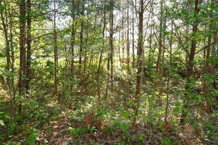 Property Photo: 0 Hollyhock Lane GA 30132
