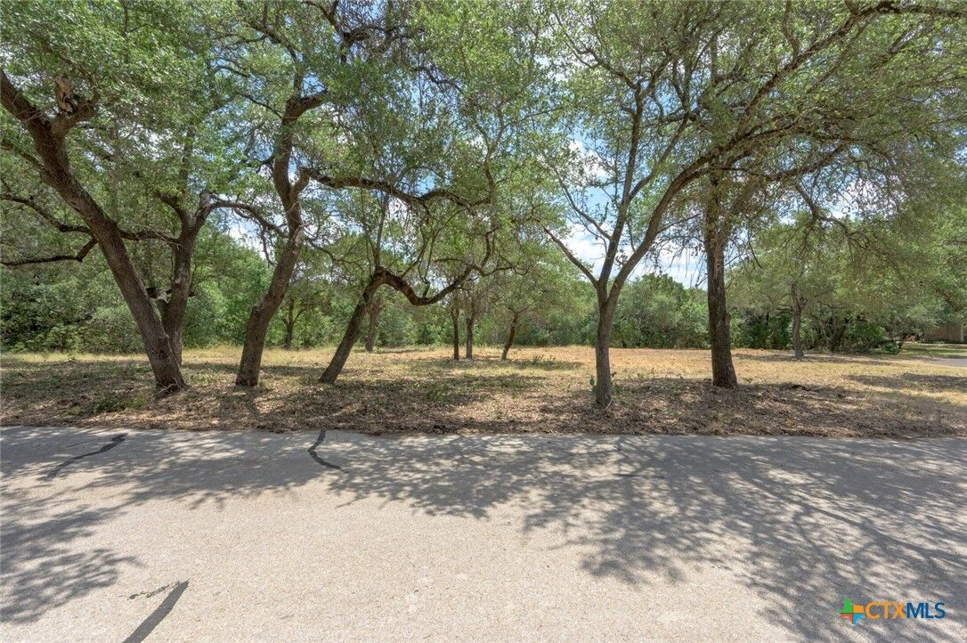 Property Photo: 212 Lost Mesa TX 76513