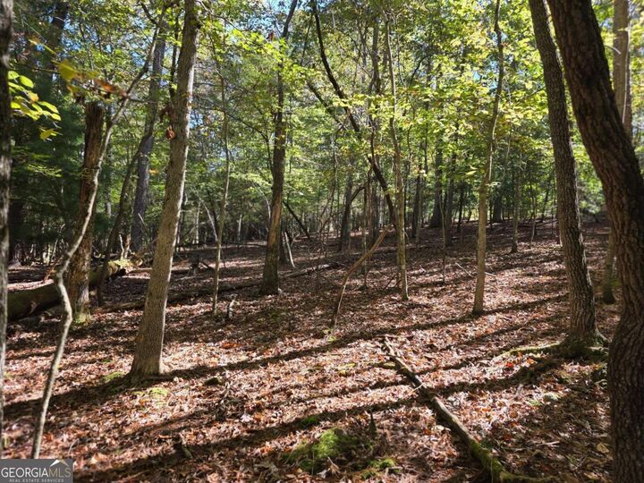 Property Photo: Lot #385 Zenith Trail 385 GA 30540