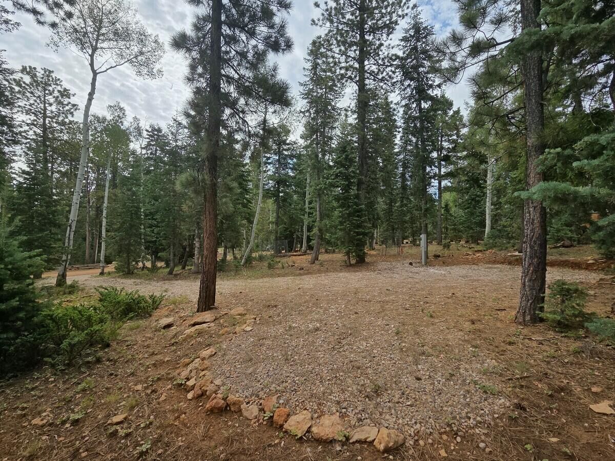 Property Photo:  3135 N Power Line Rd  UT 84762 
