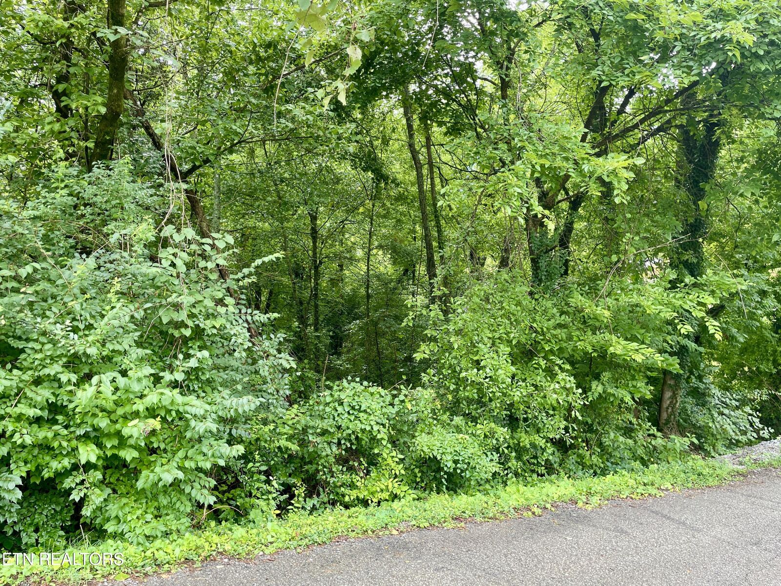 Property Photo:  5119 Odell Rd  TN 37920 
