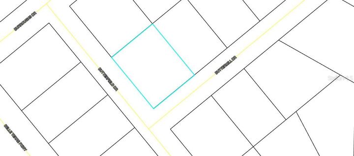 Property Photo: 70 Buttermill Drive FL 32137