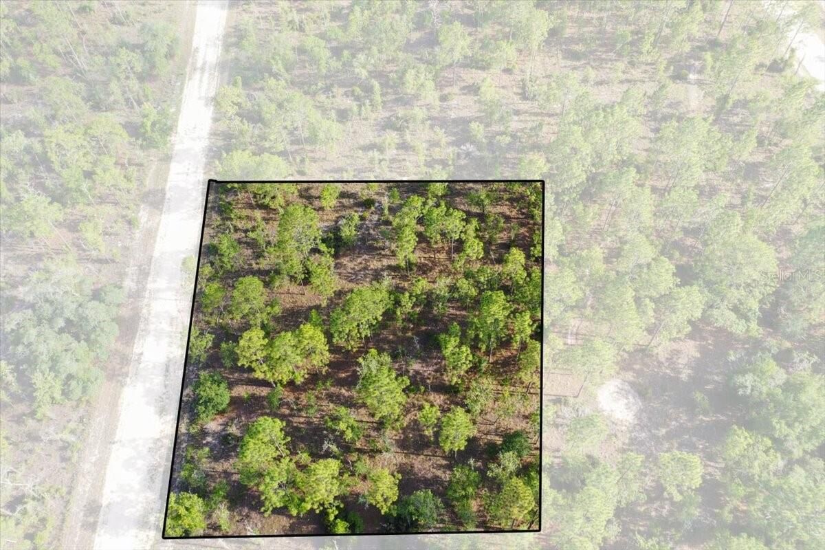 Property Photo: 0000 NE 132 Terrace Lot 2 Terrace FL 32696
