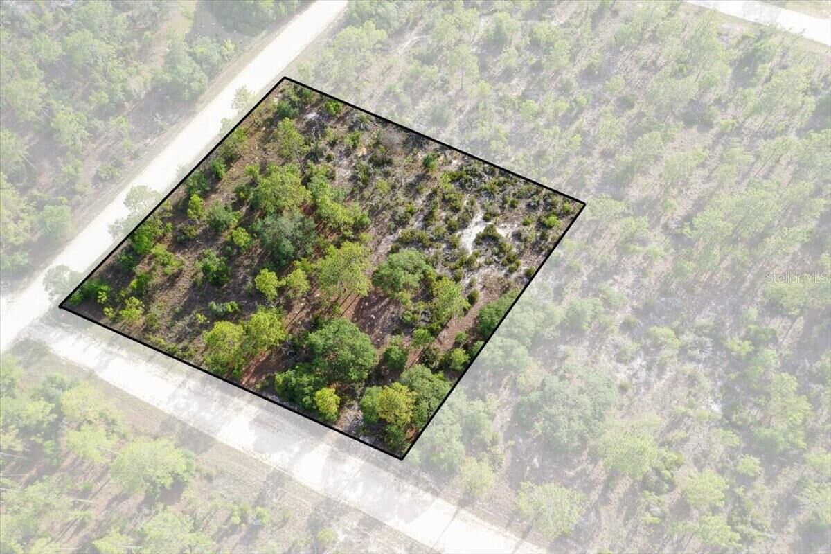 Property Photo: 0000 NE 132 Terrace Lot 5 Terrace FL 32696
