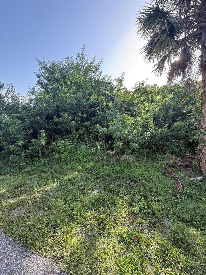 Property Photo:  2071 Carpetgreen Street  FL 33948 