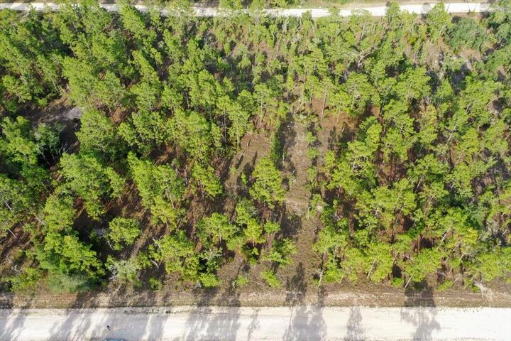 Property Photo: 0000 NE 131 Lot 7 Terrace FL 32696