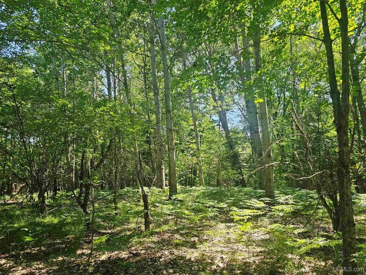 Property Photo:  Tbd Parcel M17 Applewood Drive  MI 49931 