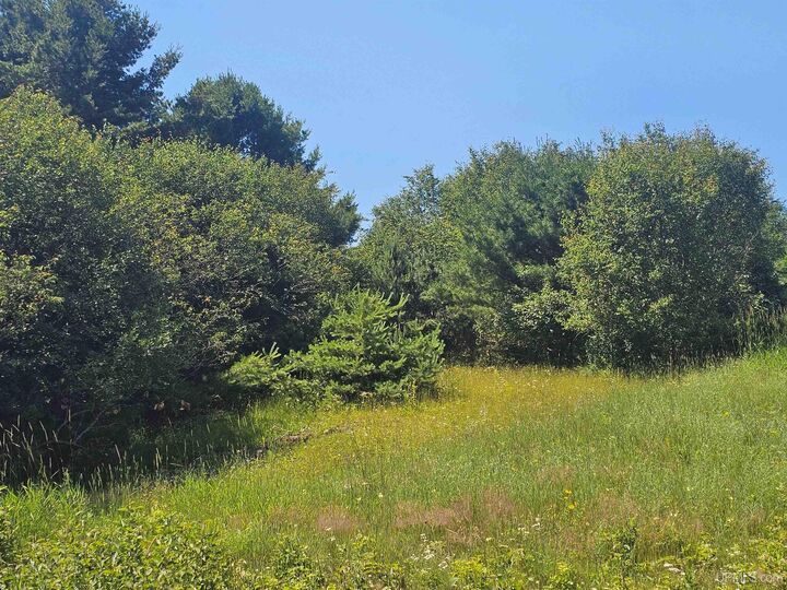 Property Photo:  Tbd Parcel M5 River Trails Road  MI 49931 