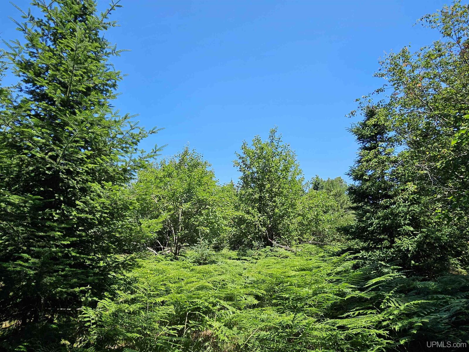 Property Photo:  Tbd Parcel M22 River Trails Road  MI 49931 