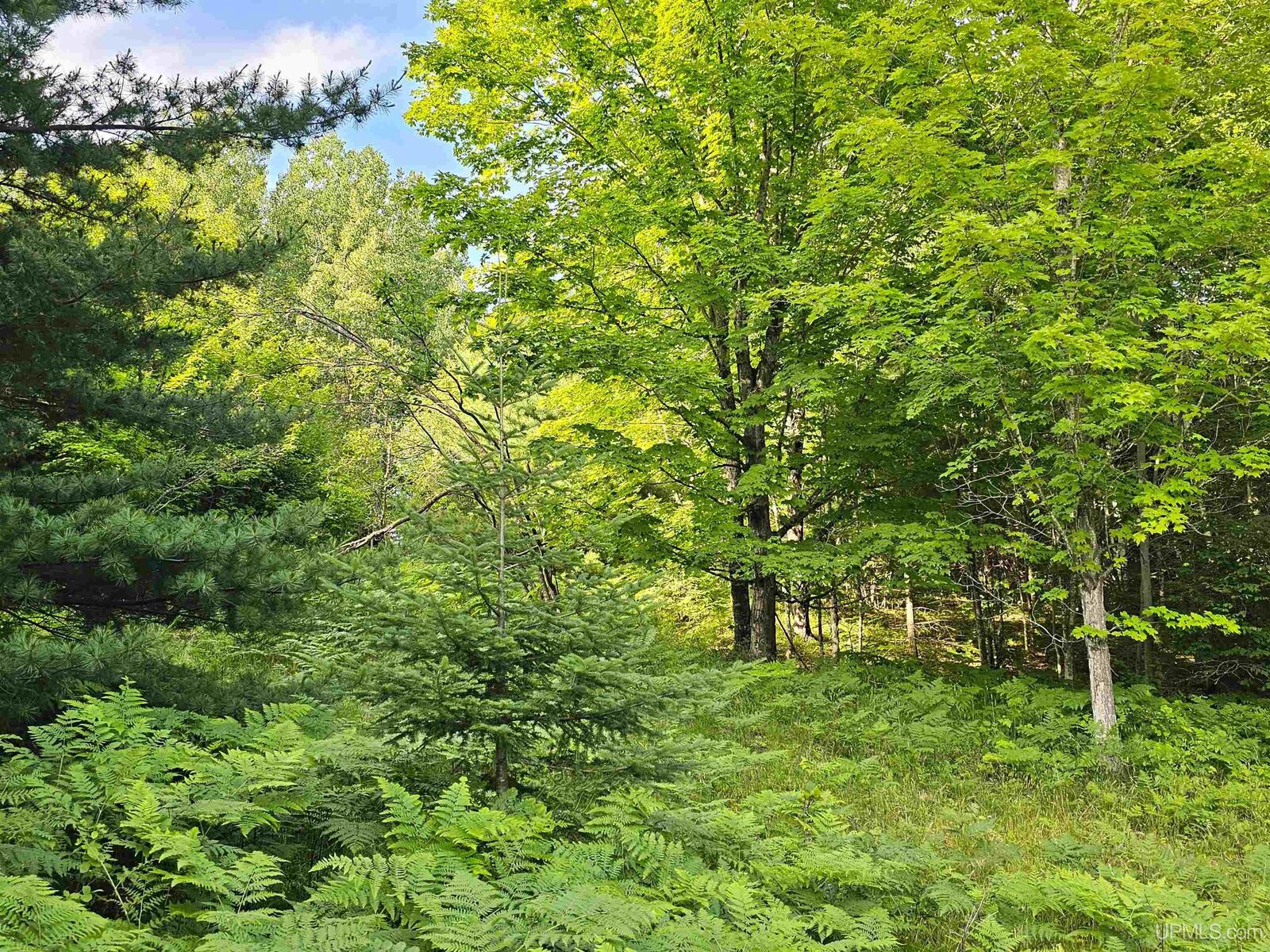 Property Photo:  Tbd Parcel M10 Applewood Drive  MI 49931 