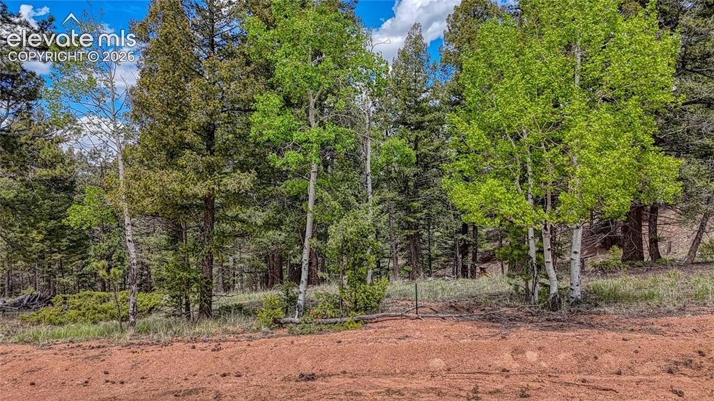 Property Photo: 26 N Eldorado Circle CO 80816