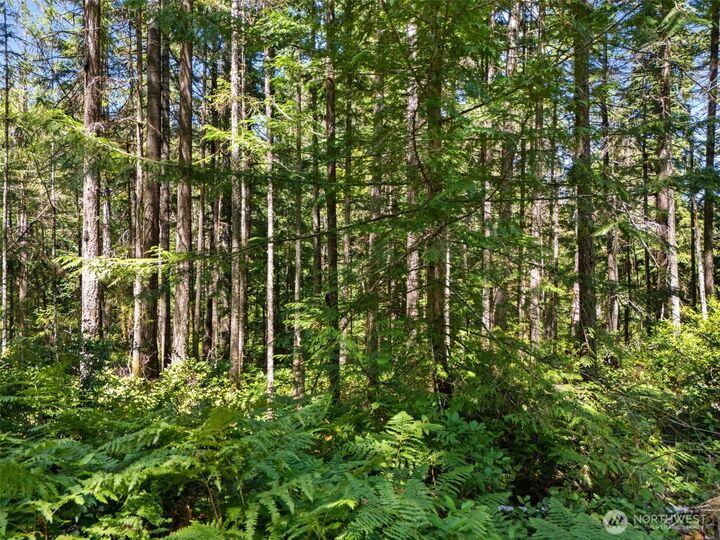 Property Photo:  0 Sp1355 E Glenwood Drive  WA 98592 