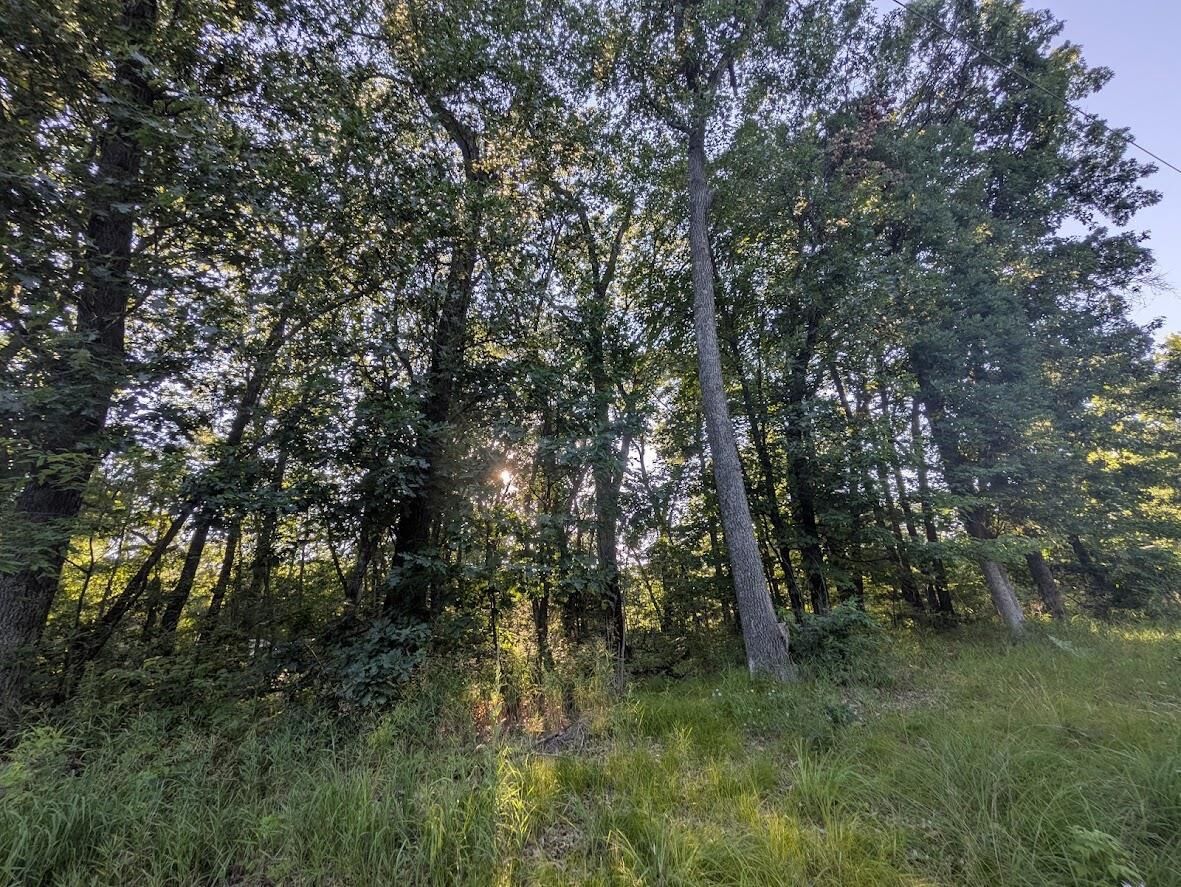 Property Photo: 0 6th Avenue WI 53936