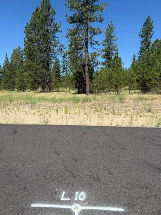 Property Photo: Lot 10 Long Lake Estates Est WA 99026