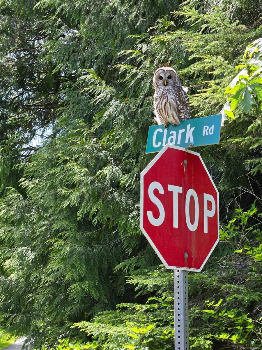 Property Photo: Lot 13 Clark Rd BC V9Z 0K5