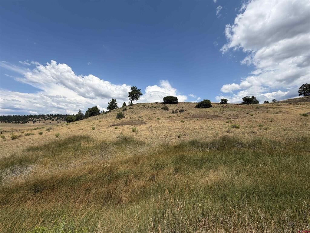 Property Photo: 893 Loma Linda Drive CO 81147