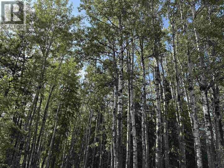 Property Photo: 4295 Beryl Prairie Road BC V0C 1V0