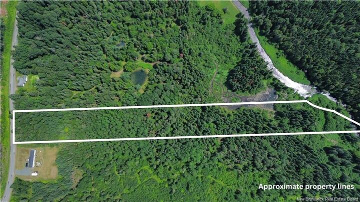 Vacant Land Black Brook Road — photo 1