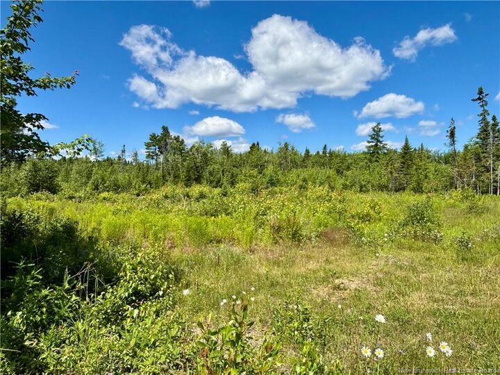 Property Photo:  2.24 Acres McLeod Street  NB E9G 0B5 