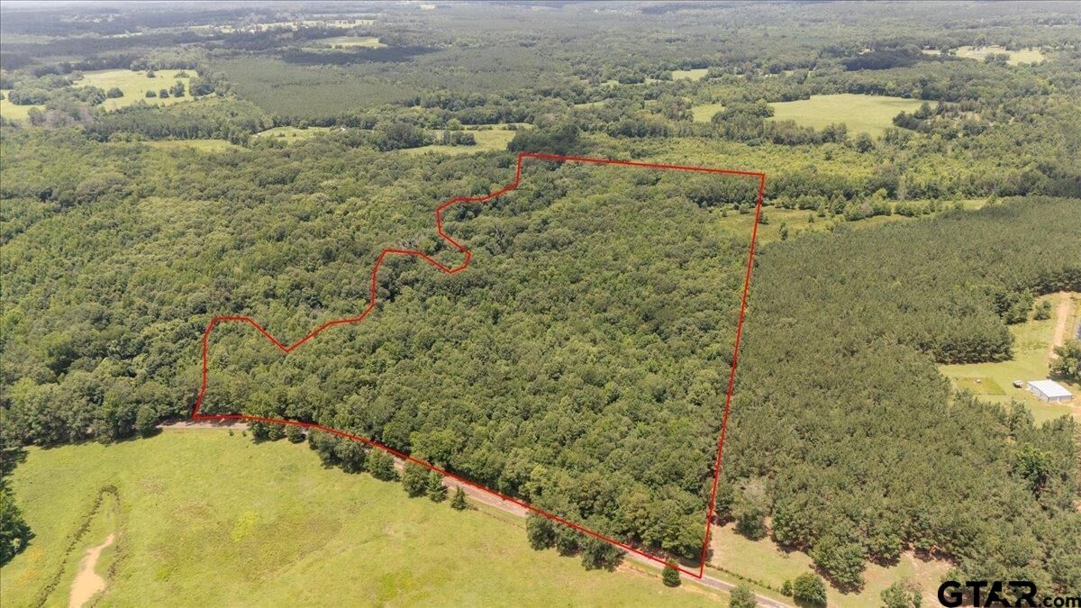 Property Photo: Tbd 38.110 Ac Cr 3206 TX 75681