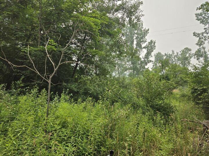 Property Photo:  13939 Taft Road  MI 49307 