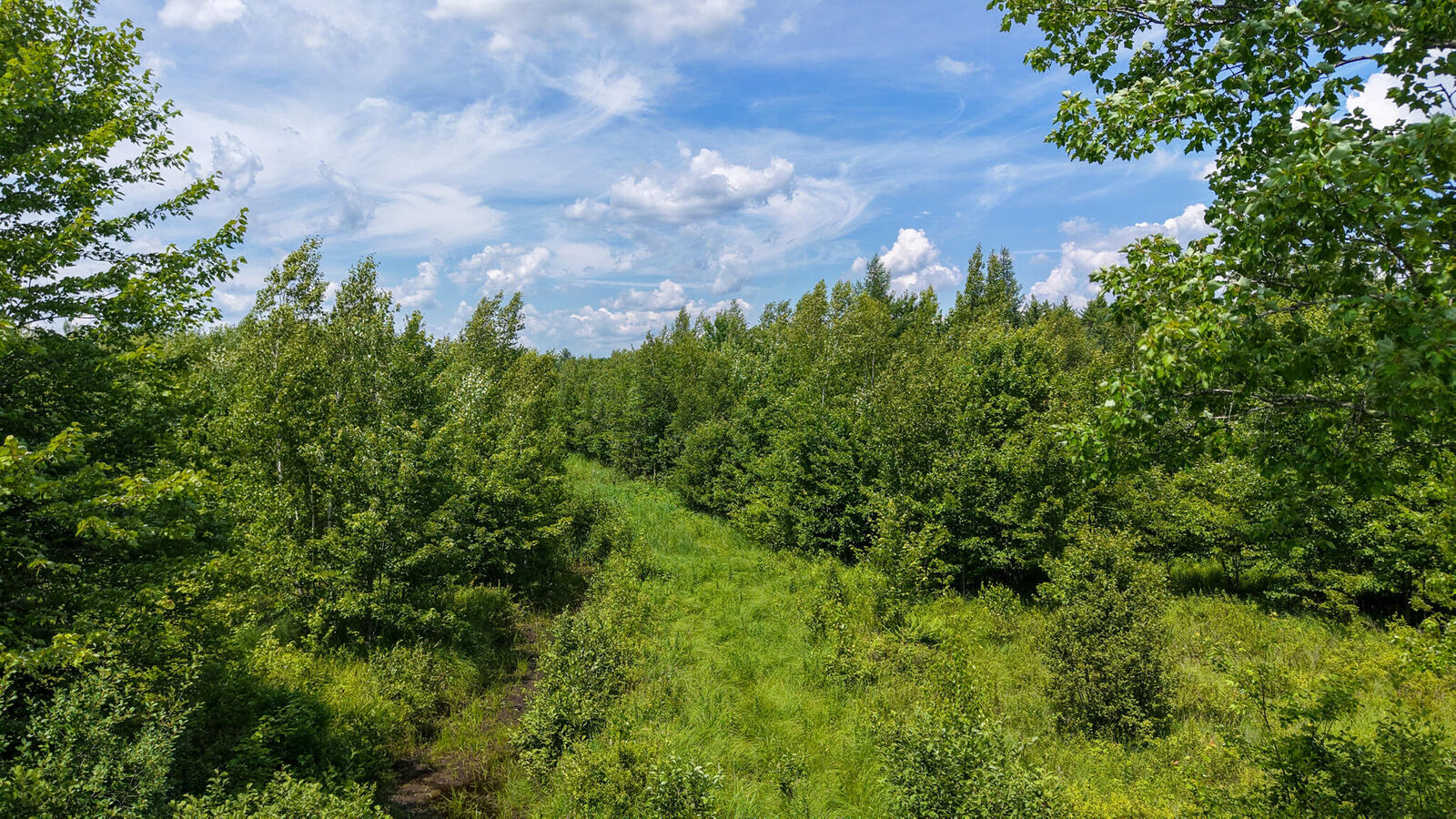 Property Photo: Map 8 Lot 40-5-1 ME 04929