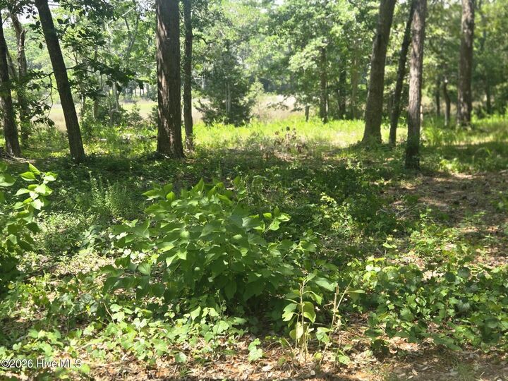 Property Photo: 3179 71 Mullet Creek Place SE NC 28422