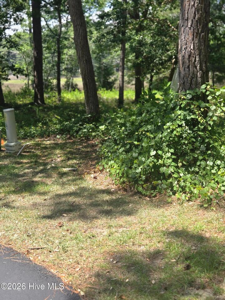 Property Photo:  3183 Mullet Creek Place SE  NC 28422 