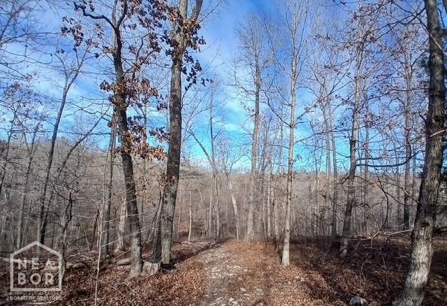 Property Photo: 1 E Wirth Rd AR 72459
