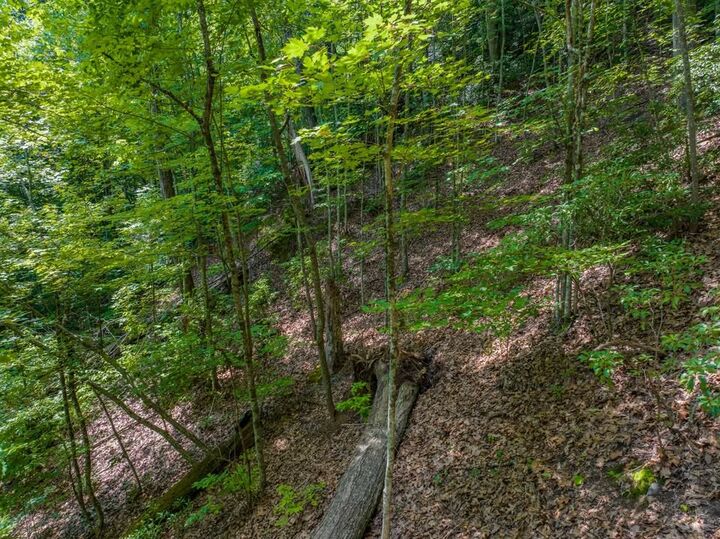 Property Photo: 13.01 Ac New Stansbury Road TN 37326