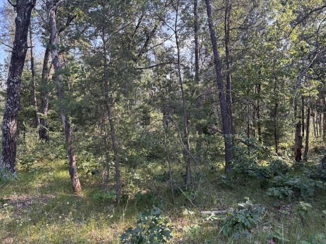 Property Photo:  1173 Arrowhead Trail  WI 54457 
