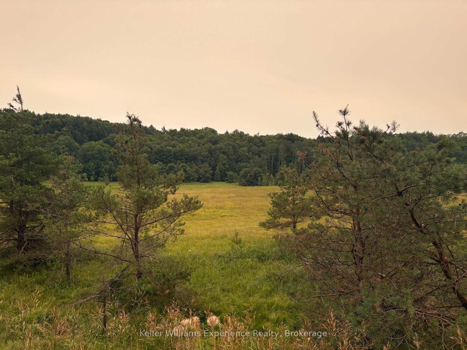 Property Photo:  0 Muskoka 118W Road  ON P1L 1W8 