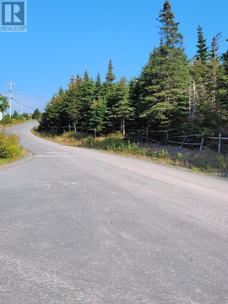 Property Photo:  31-37 Branton's Hill  NL A0B 2A0 